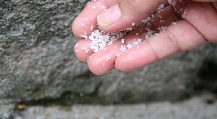 Throw Some Salt In The Corners Of Your House & Thank Us Later