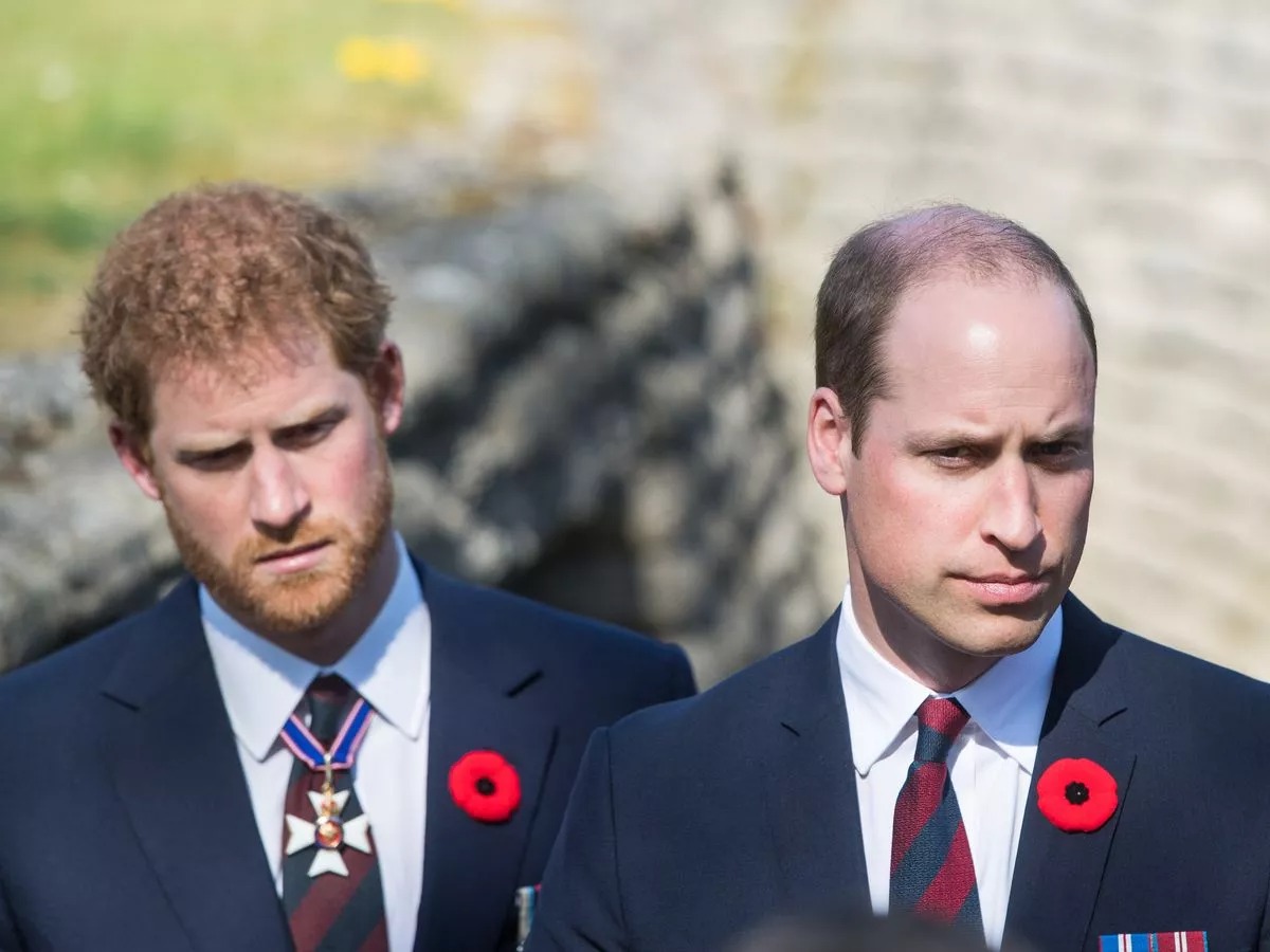 Prince William Spills The Truth About Harry And Stuns Royal Fans