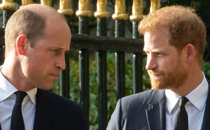 Prince William Spills The Truth About Harry And Stuns Royal Fans ➤ Buzzday.info