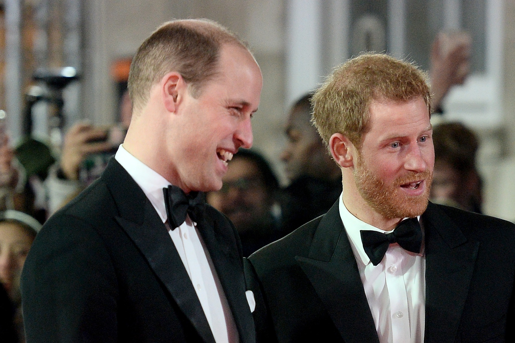 Prince William Spills The Truth About Harry And Stuns Royal Fans