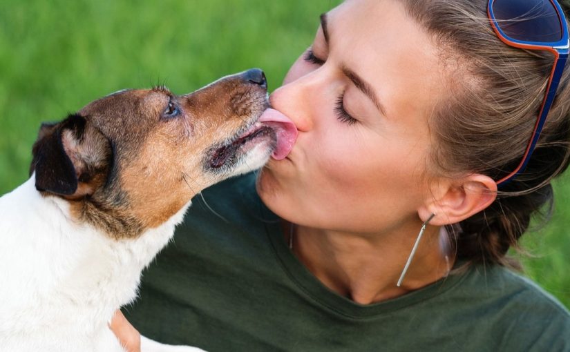 Czy całowanie psa w twarz może zakończyć się śmiercią? Znawca „pocałunku śmierci” dochodzi do zaskakujących wniosków ➤ Buzzday.info