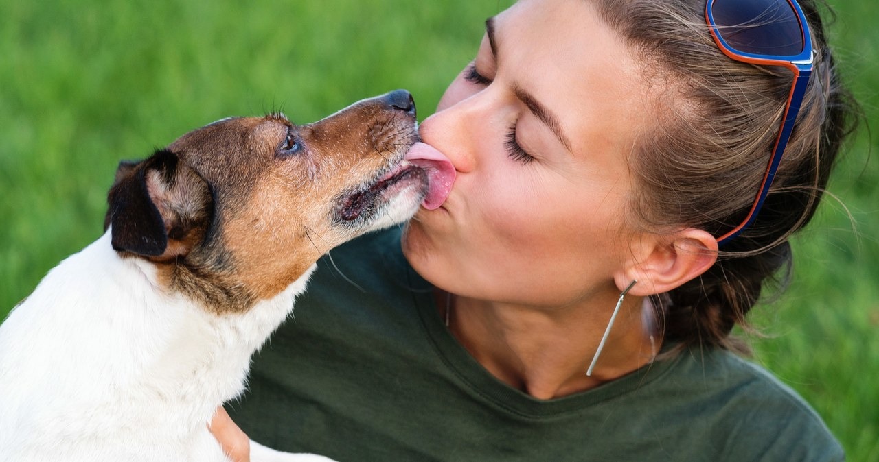 Czy całowanie psa w twarz może zakończyć się śmiercią? Znawca „pocałunku śmierci” dochodzi do zaskakujących wniosków ➤ Buzzday.info