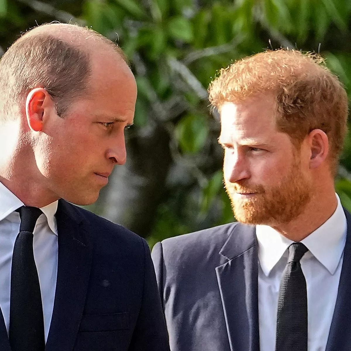 Royal family life: Prince Harry’s rage and tears, William’s hidden message