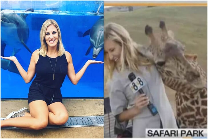 Anchor Wears Daring Outfit And Forgot Her Desk Was Transparent