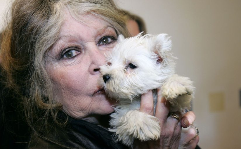 Brigitte Bardot, amoureuse des animaux, a annoncé le décès d’un de ses chiens ➤ Buzzday.info
