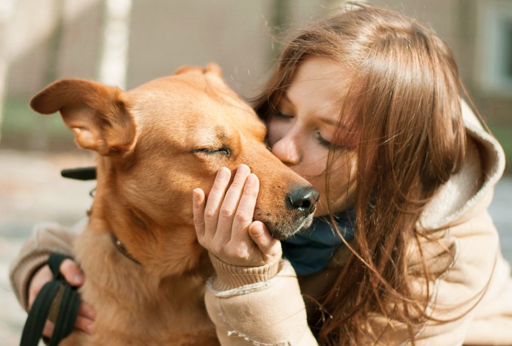 Czy całowanie psa w twarz może zakończyć się śmiercią? Znawca „pocałunku śmierci” dochodzi do zaskakujących wniosków