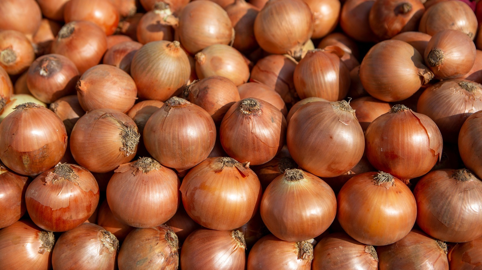 You’re Making An Obvious Mistake With Onions & Don’t Realize It ➤ Buzzday.info