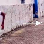 Il video di un ragazzo che cerca di scappare da un’anaconda gigante diventa virale sul web ➤ Buzzday.info