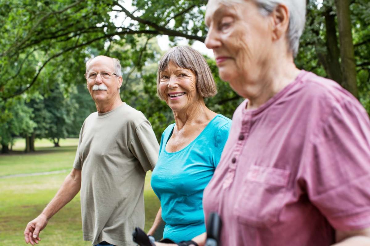 Le QI de la population baisse-t-il depuis les années 70 ?