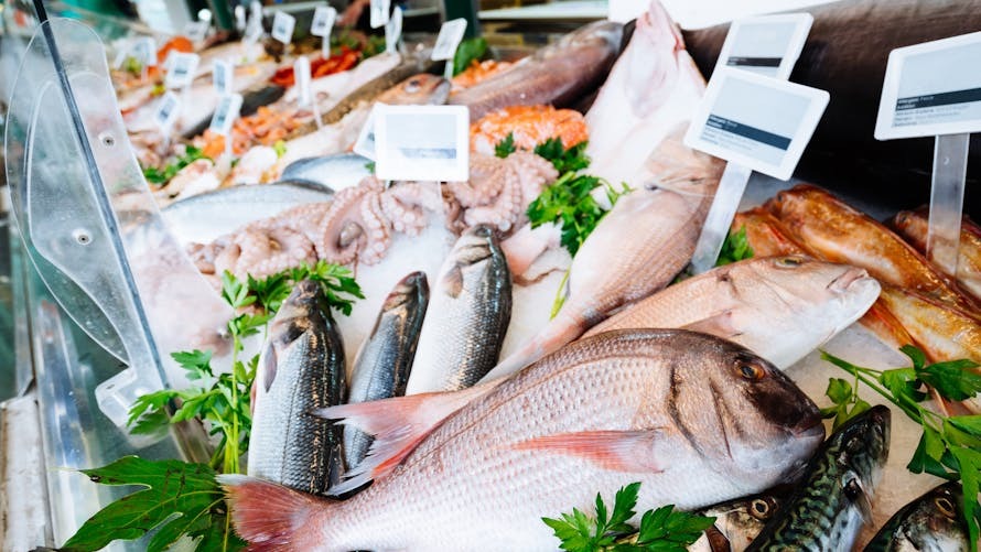 Comparé au saumon, ce poisson moins cher aide à réduire le cholestérol, à perdre du poids et à atténuer les rides ➤ Buzzday.info