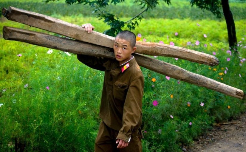 Fotografii interzise din Coreea de Nord: pielea de găină ➤ Buzzday.info