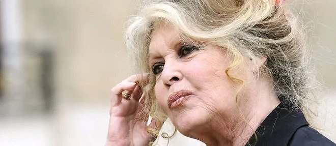 Brigitte Bardot furieuse, elle estime que son ami de toujours est « tombé dans un piège »