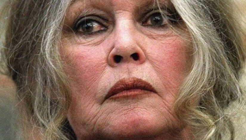 Brigitte Bardot furieuse, elle estime que son ami de toujours est « tombé dans un piège » ➤ Buzzday.info