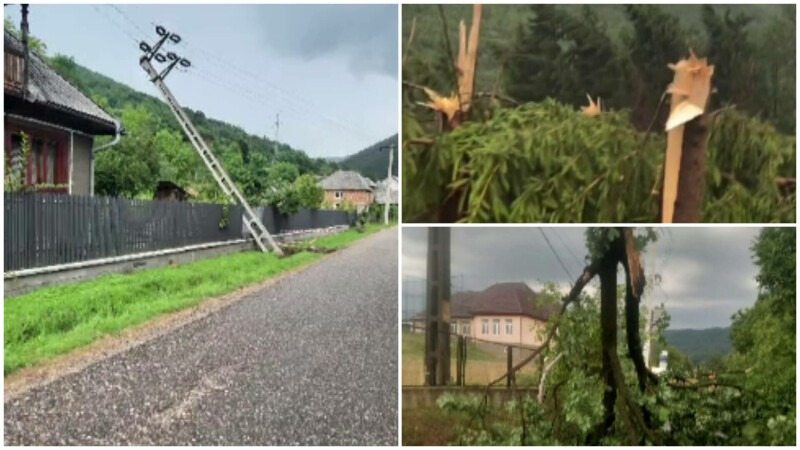 O furtună violentă a pus la pământ o pădure din maramureș: ”imagini de groază!” video