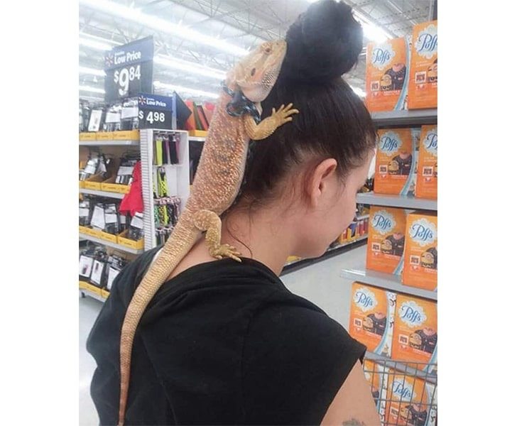 Make Sure You Are Alone Before Looking At These Photos At Walmart