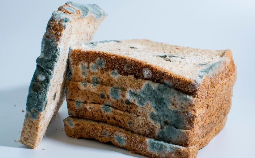 Here’s What Happens When You Accidentally Eat Moldy Food ➤ Buzzday.info