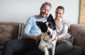 To figure out his Wife’s habit of taking their dog into the shower, his partner sets up a camera