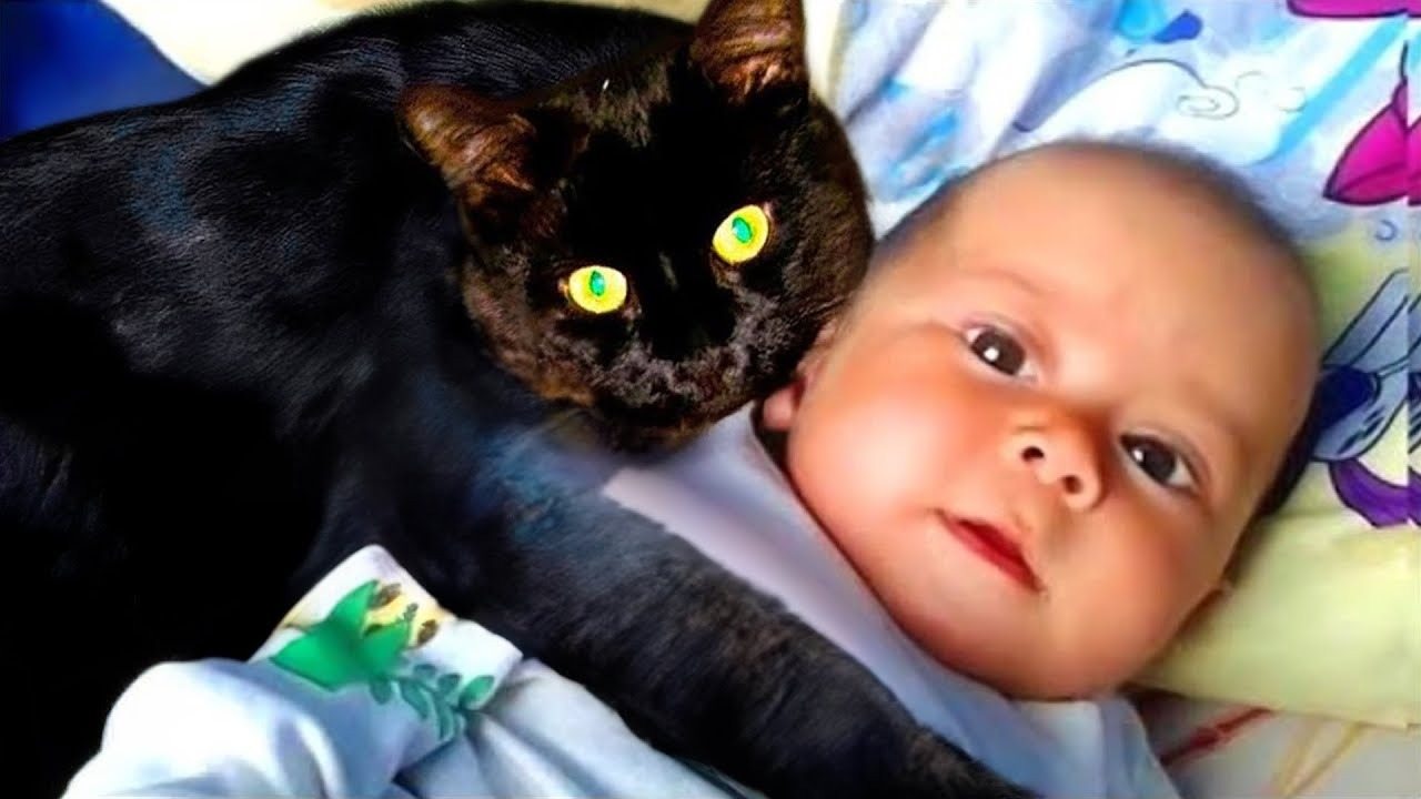 Cat Won’t Leave Baby Alone – The Parents Found Out Why ➤ Buzzday.info