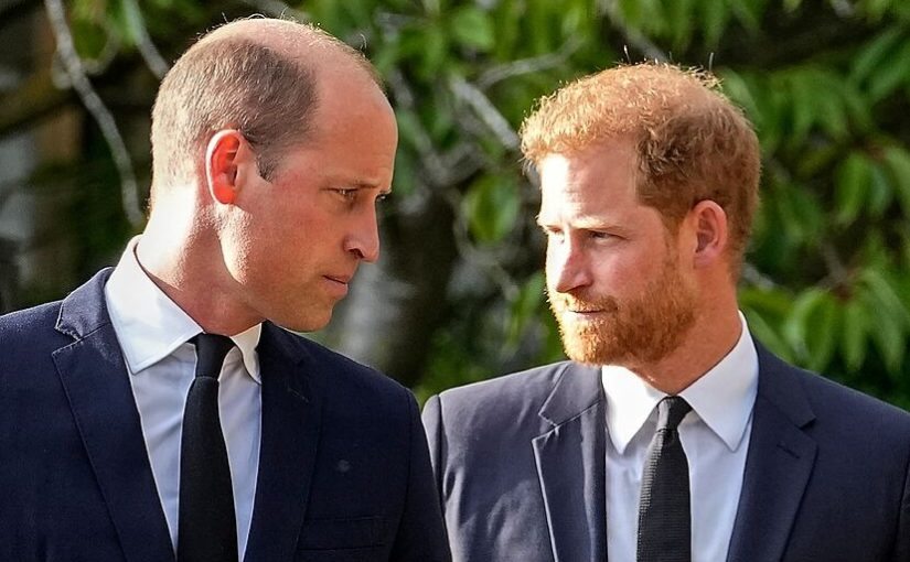 Everything Prince William Has Said About Prince Harry Over the Years ➤ Buzzday.info