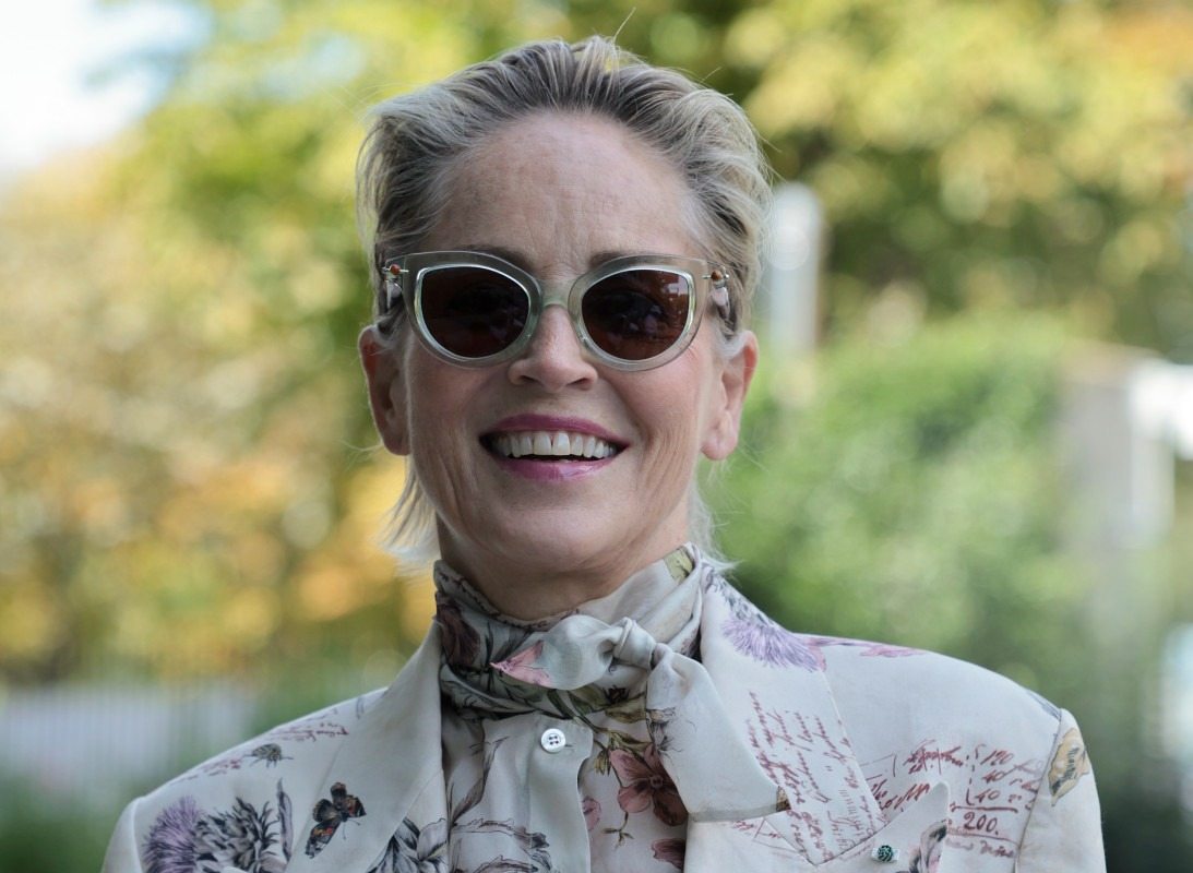 Sharon Stone’s Skimpy Bikini Pool Workout For Nobody 2 Stuns Fans, Bob Odenkirk Says “Can’t Wait”