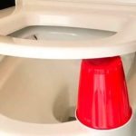 Should you leave an empty toilet paper roll or a red cup under the toilet seat at night? ➤ Buzzday.info