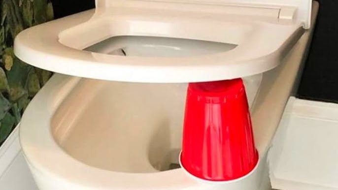 Should you leave an empty toilet paper roll or a red cup under the toilet seat at night?