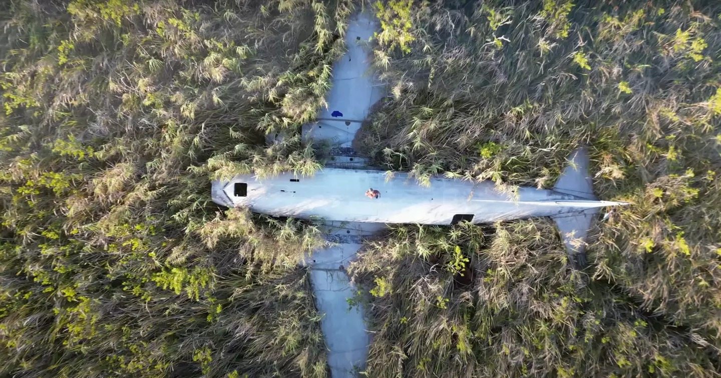 Man went on three-day trek to find ‘Pablo Escobar’s abandoned drug plane’ and shared what he found inside