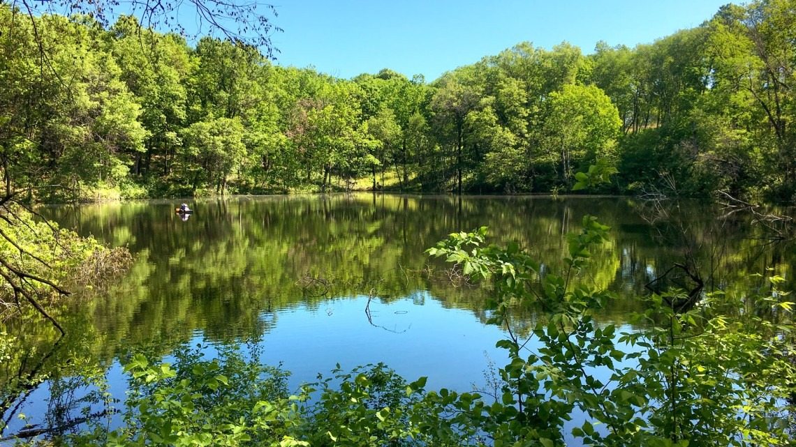 Mom Lets Kids Swim in Pond All Summer—Then Sees What’s Lurking in the Water