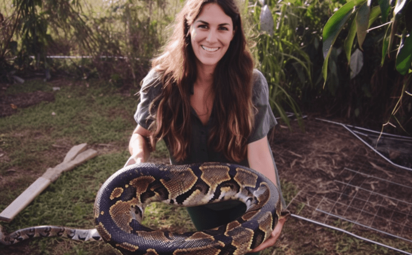Capture du plus imposant reptile en Allemagne ➤ Buzzday.info