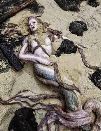 Un mystère sur la côte : une sirène a été retrouvée vivante !