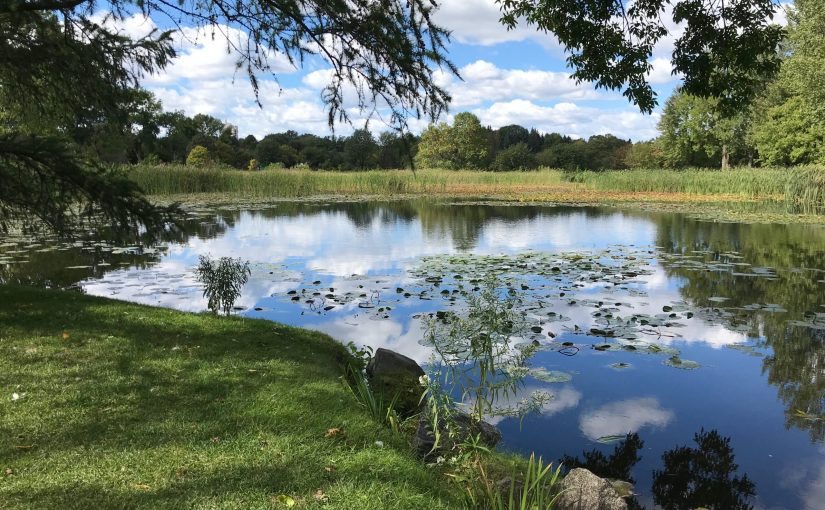 Mom Lets Kids Swim in Pond All Summer—Then Sees What’s Lurking in the Water ➤ Buzzday.info