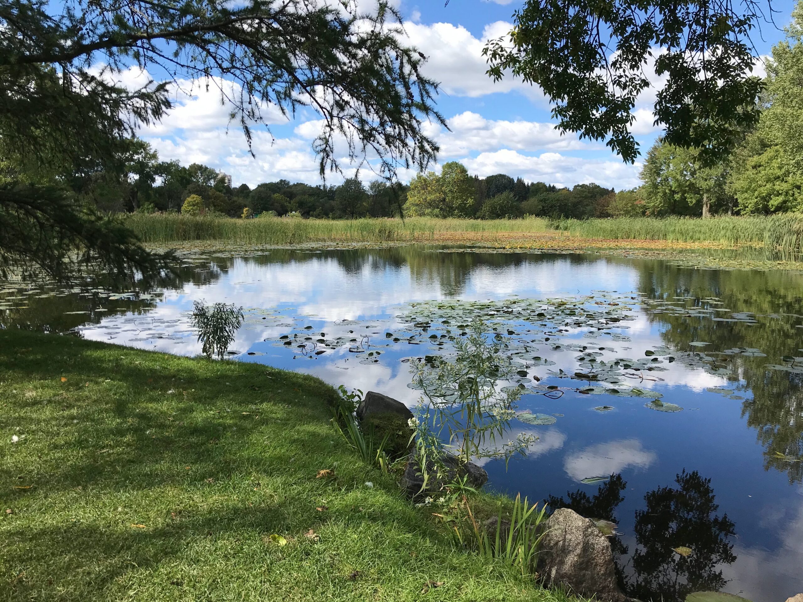 Mom Lets Kids Swim in Pond All Summer—Then Sees What’s Lurking in the Water