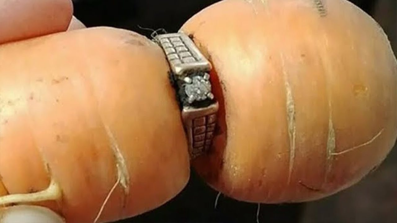 Farmer Finds Diamond Ring. When He Shows It To His Wife, She Says, “I Want A Divorce”