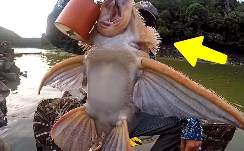 Fisherman Caught Weird Creature – He Calls For Help When He Discovers What It Really Is ➤ Buzzday.info