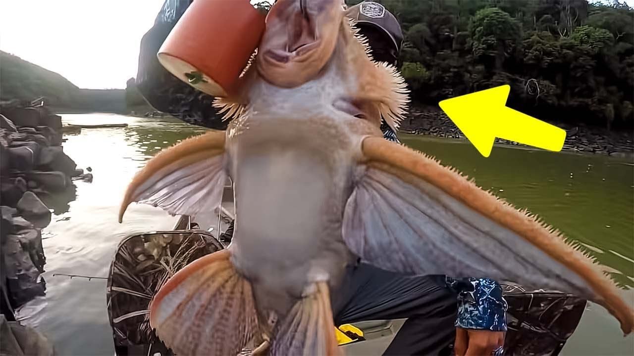 Fisherman Caught Weird Creature – He Calls For Help When He Discovers What It Really Is