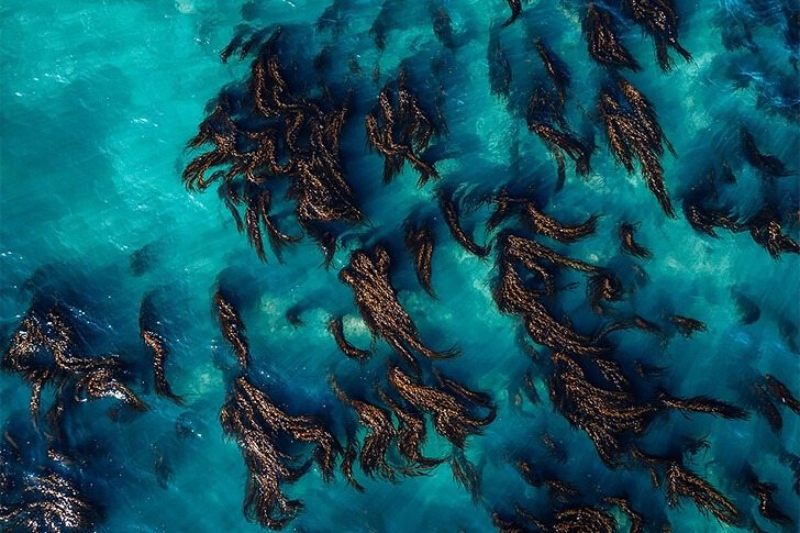 Is this an alien invasion or just a strange summer mirage? Strange sight shocks beach visitors