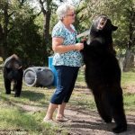 This old lady lives with a brown bear ➤ Buzzday.info