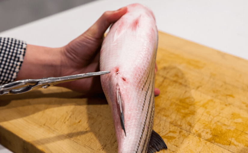 Mom Cleaning Out Fish Is Surprised By What She Finds ➤ Buzzday.info