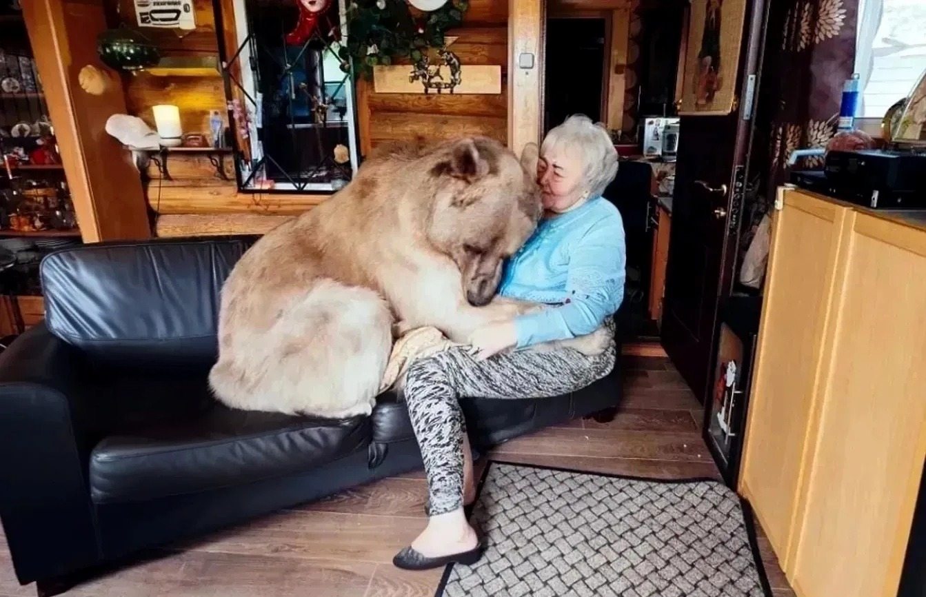 This old lady lives with a brown bear