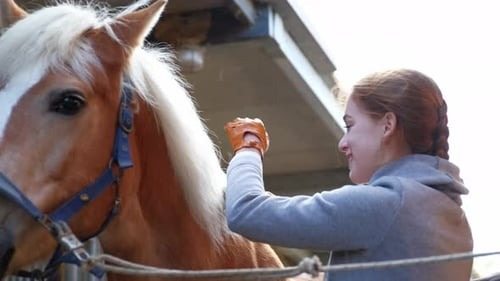 Woman Takes Horse To The Vet Without Knowing It Has A Bounty On It