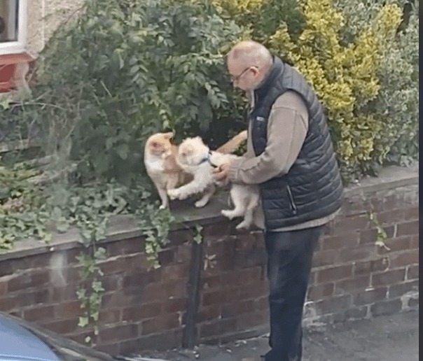 Pure Moment Witnessed As Woman Looks Out Her Window At A Stranger