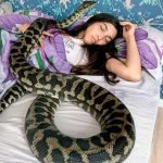 A woman sleeps with a snake every night. Then He Stops Eating, And Vets Learn His True Colours ➤ Buzzday.info