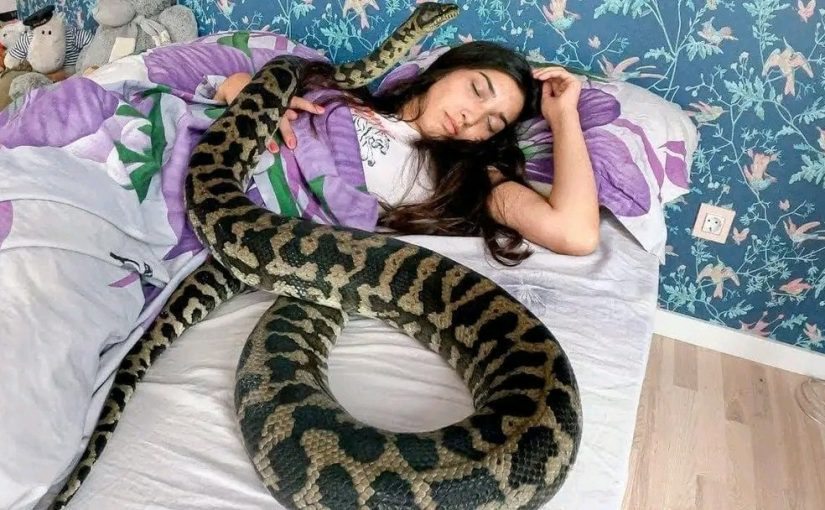 A woman sleeps with a snake every night. Then He Stops Eating, And Vets Learn His True Colours ➤ Buzzday.info