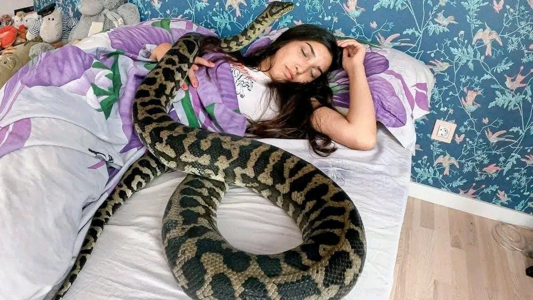 A woman sleeps with a snake every night. Then He Stops Eating, And Vets Learn His True Colours ➤ Buzzday.info