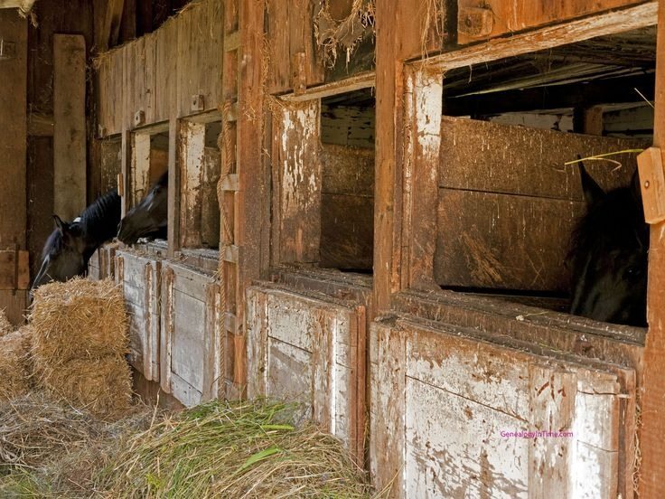 Woman gets old barn from dad, finds surprise in the cellar