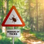 No tick will bite if you do this before you leave the house ➤ Buzzday.info