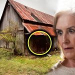 Woman gets old barn from dad, finds surprise in the cellar ➤ Buzzday.info