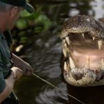 La telecamera cattura il momento scioccante in cui un alligatore insegue un pescatore ➤ Buzzday.info