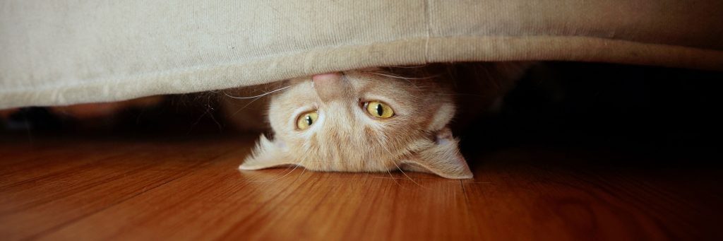Man Visits His Elderly Relative And Sees This Under The Bed, Then He Realizes What It Is