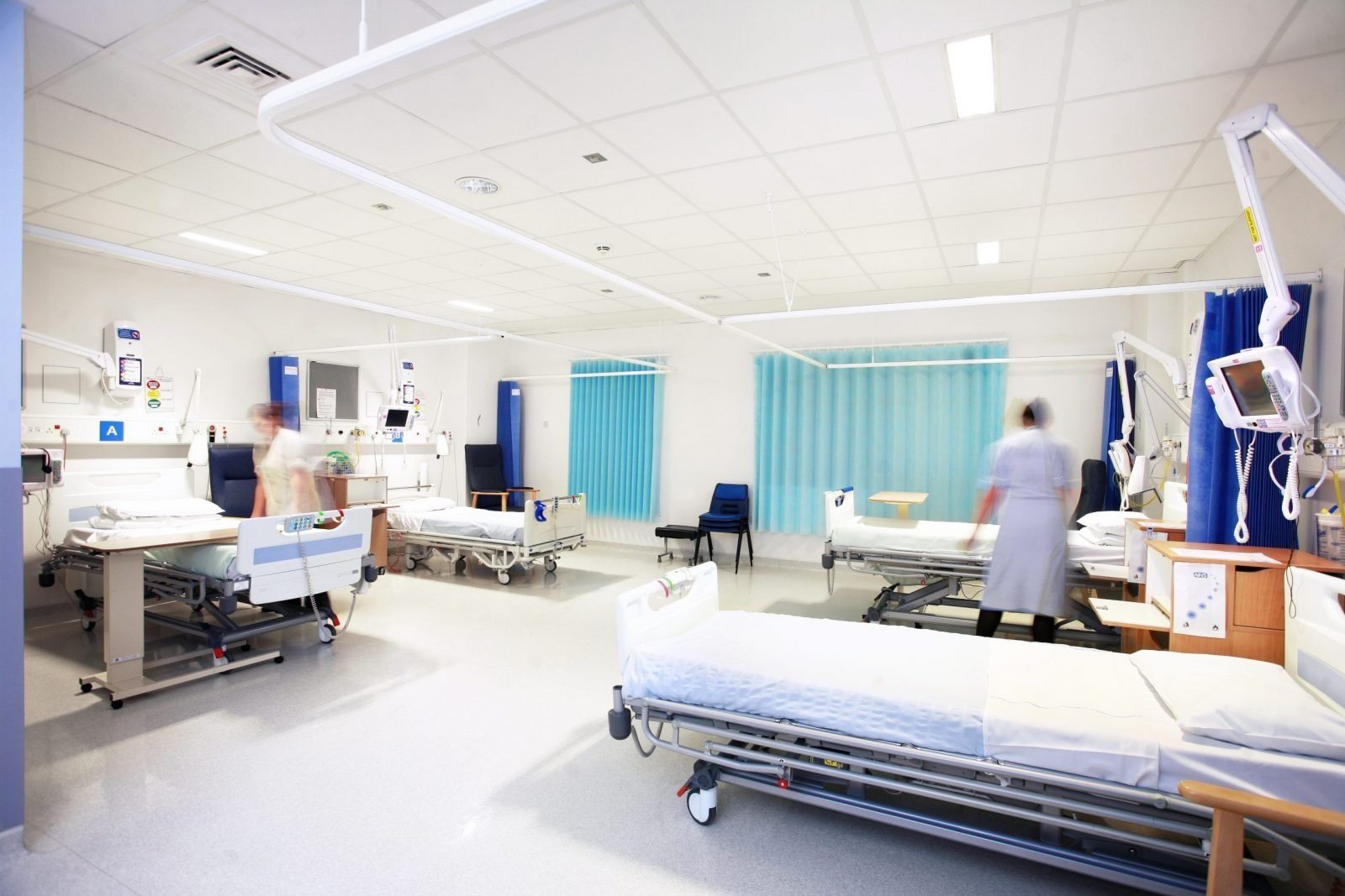 Un orso irrompe in ospedale e disturba un’infermiera con ciò che porta in bocca